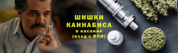 ECSTASY Заводоуковск