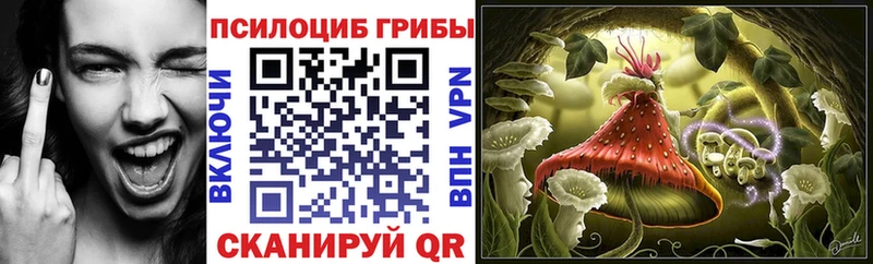Галлюциногенные грибы мухоморы  купить наркоту  mega вход  Калтан 